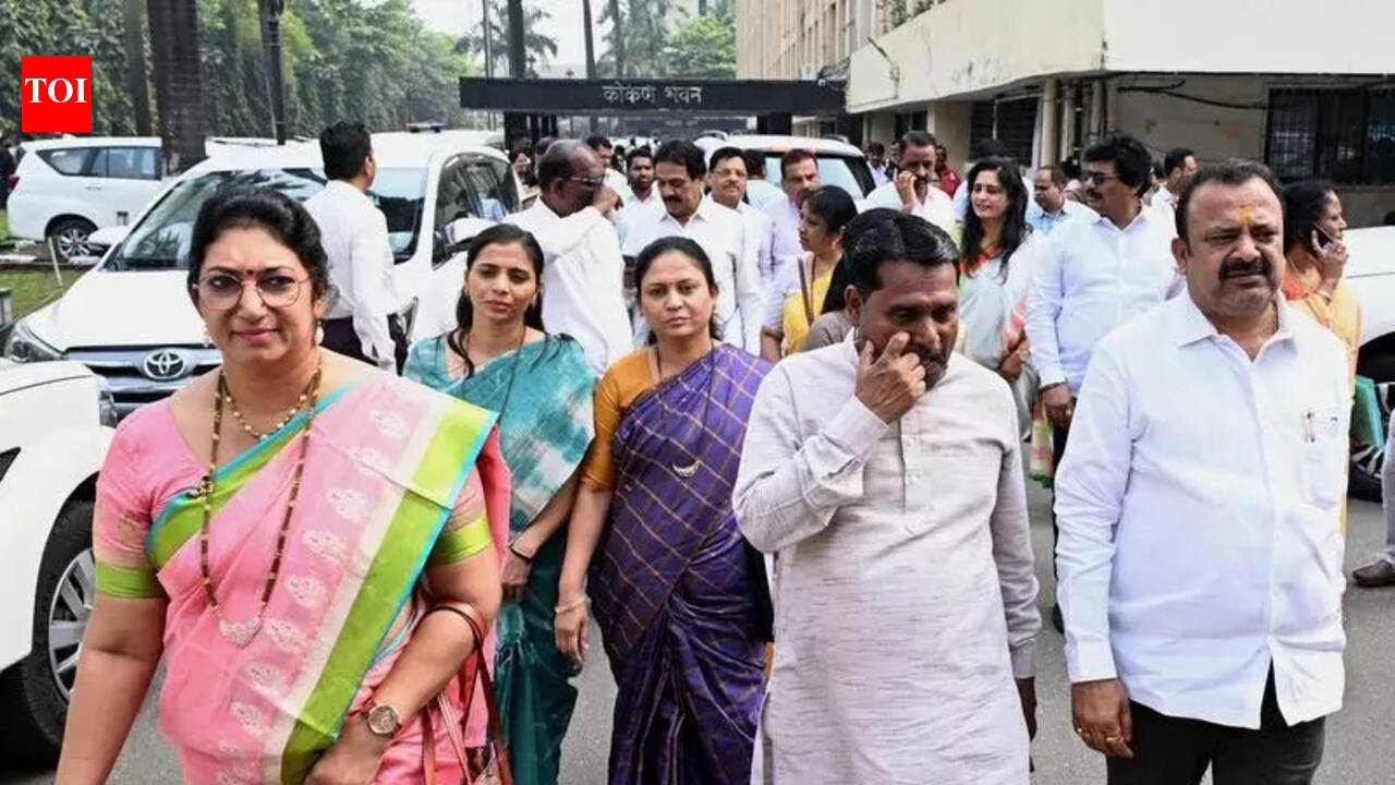 Navi Mumbai mayor: Ex-civic panel chief, Naik kin frontrunners