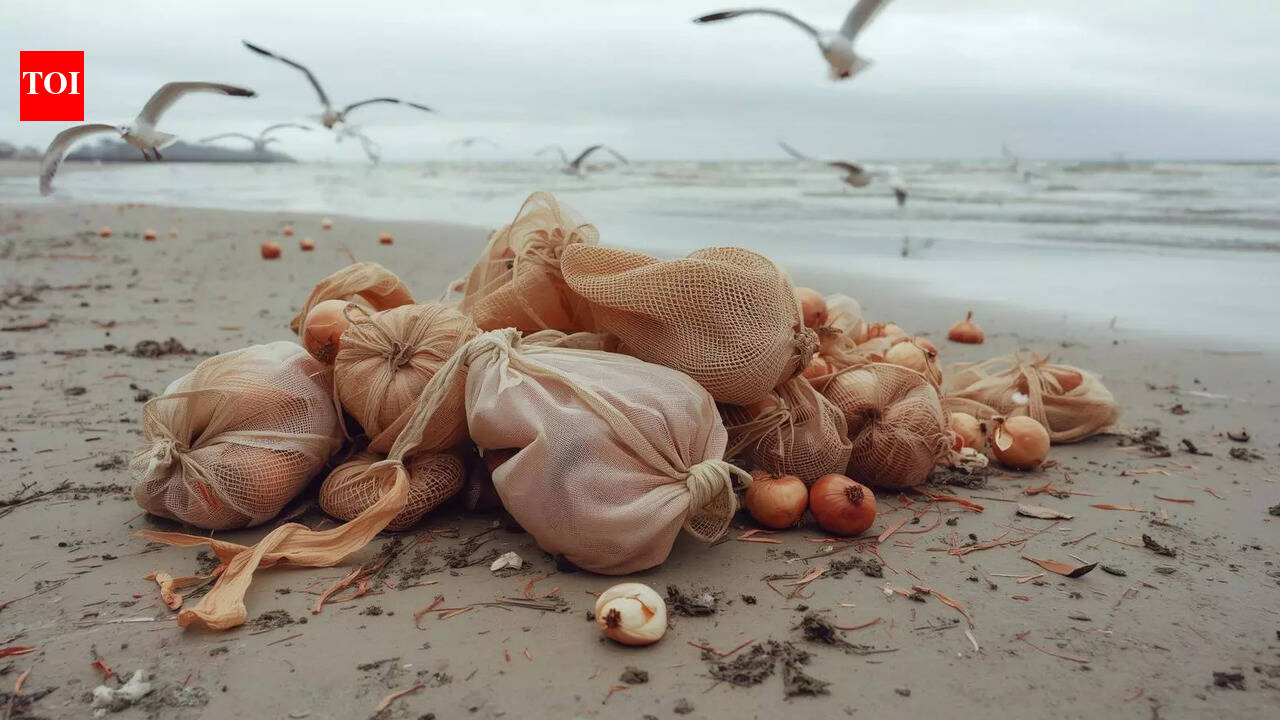 Why thousands of onions appeared on Brighton beach after Storm Goretti