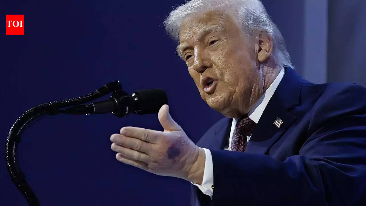 'Cosmic poetic justice': Donald Trump's estranged niece says uncle was 'humiliating himself on daily basis'