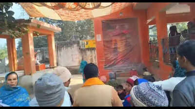 'Divine’ dog that did 'parikrama' of Hanuman idol had neuro issues, rescued by vets