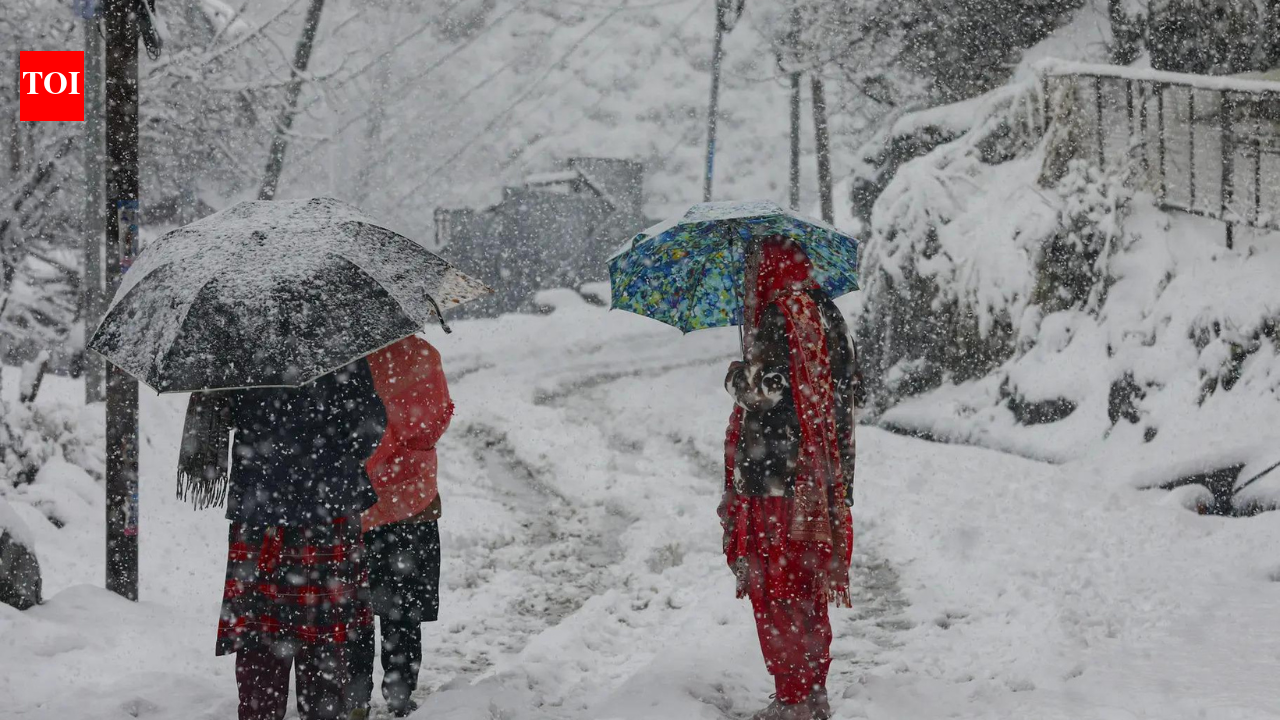Snow & winds bring chaos to J&K: Roads blocked, flights paused, power hit, schools shut