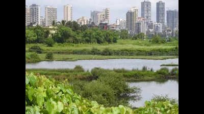 Navi Mumbai: Civic body pairs up with mountaineering group in Borghat clean-up drive