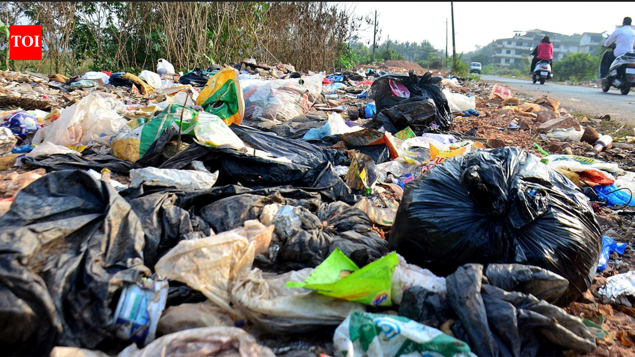 Panaji plans to scale up 16-way garbage segregation across 240 housing colonies
