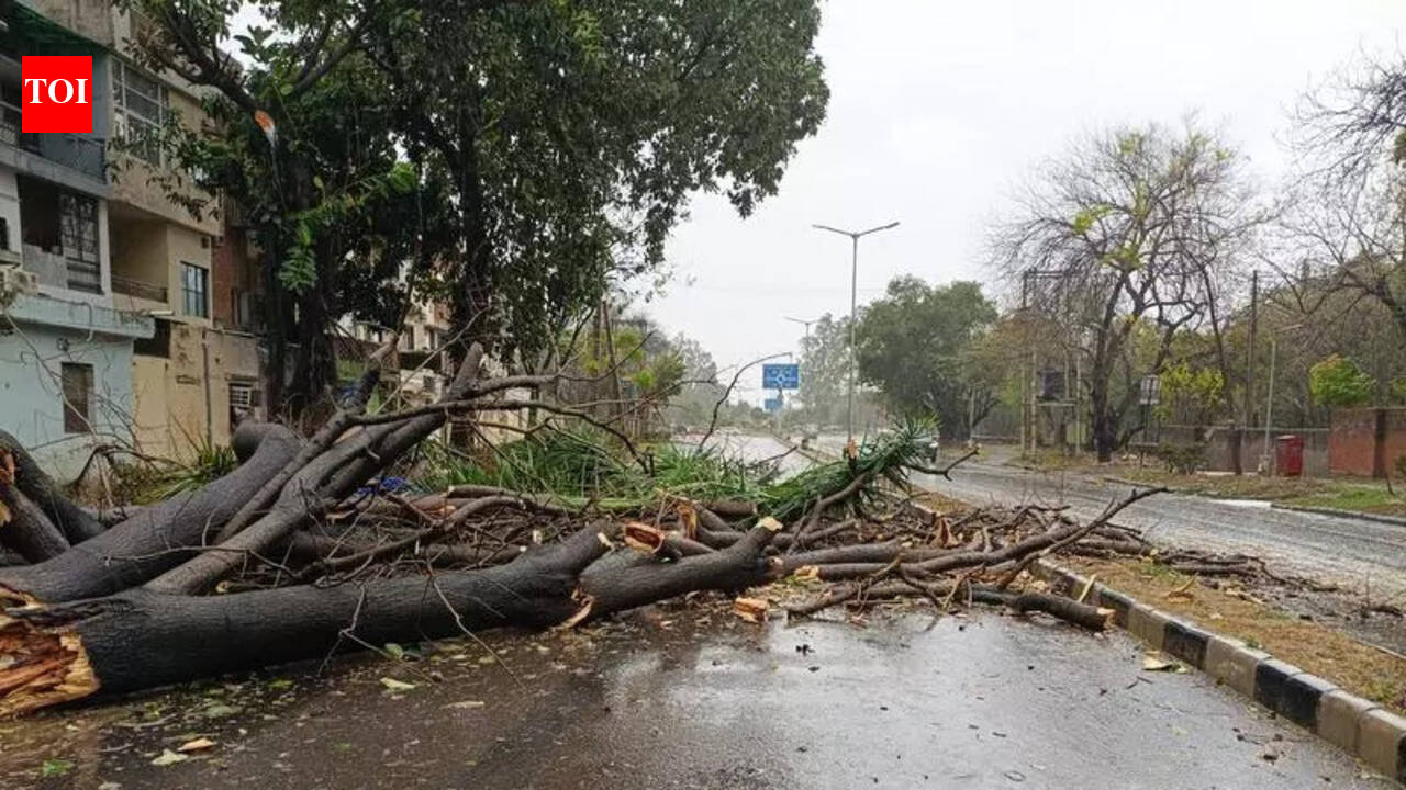 Slammed by storm, Chandigarh left powerless