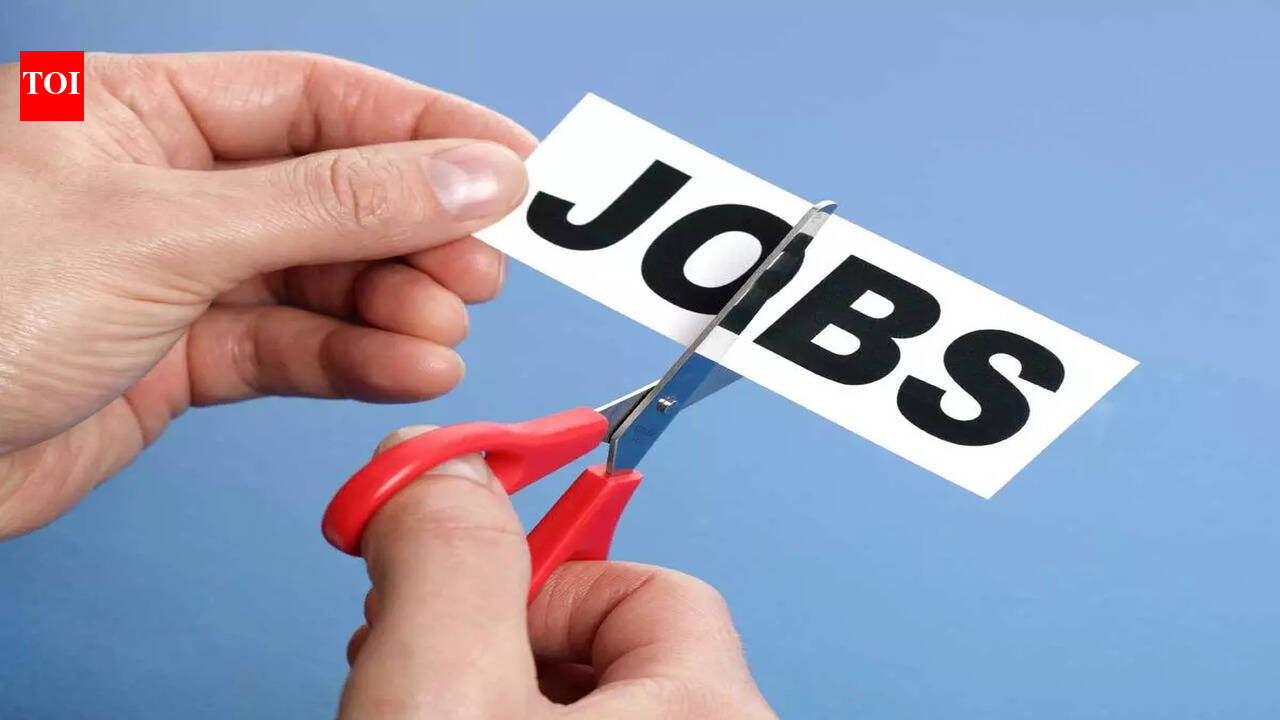 யூட்யூபின் மிகப்பெரிய போட்டியாளர்களில் ஒன்றாகக் கருதப்படும் அமெரிக்க நிறுவனம் பெரும்பாலான ஊழியர்களை பணிநீக்கம் செய்கிறது: துணைத் தலைவர்