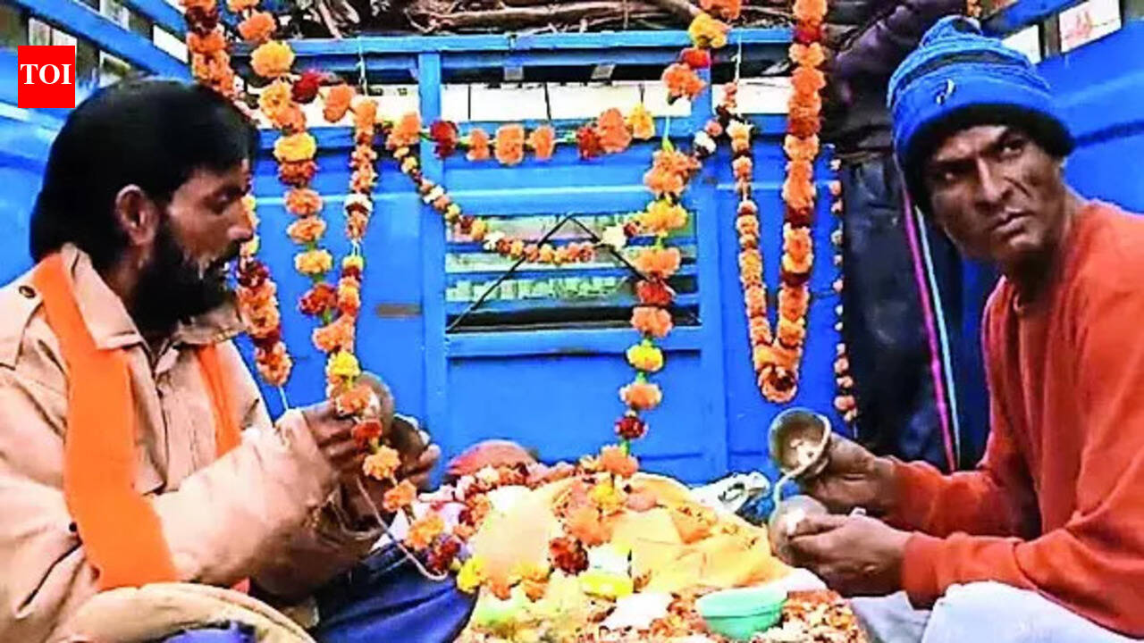 300 more killed, Telangana dog toll 900 in a month