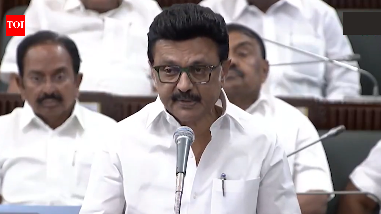 ‘Not inferior to anyone in patriotism’: Stalin hits out at Tamil Nadu governor Ravi, says no one needs to teach us