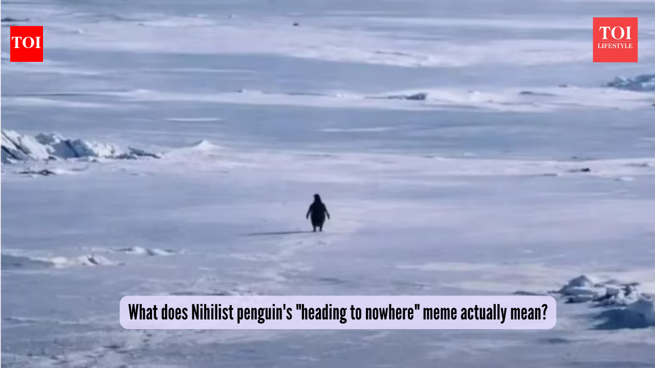 Viral: Nihilist penguin's 