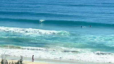 Autopsy of Canadian teen found on Australian beach points to drowning; dingo bites likely after death<i></i>” decoding=”async” fetchpriority=”high”/></div>
</p></div>
</p></div>
</section></div>
</p></div>
</p></div>
<p> Preliminary autopsy findings into the death of a 19-year-old Canadian backpacker Piper James on Australia’s K’gari island suggest drowning as the most likely cause, with dingo bites sustained largely after her death, Queensland authorities said. The findings were shared with the family of James whose body was found earlier this week on the heritage-listed island. According to the Coroners Court of Queensland, the autopsy revealed physical evidence consistent with drowning, along with injuries consistent with dingo bites. “The autopsy has found physical evidence consistent with drowning and injures consistent with dingo bites,” a spokesperson told ABC News.However, officials said the pre-mortem bite marks were unlikely to have caused immediate death and that there was no indication of involvement by any other person. Extensive post-mortem bite marks were also identified. Further scientific testing is underway, with results expected to take several weeks before the coroner formally determines the cause of death.James’s body was found on a stretch of beach north of the Maheno shipwreck at around 6.35 am local time after two men driving along the shoreline noticed a pack of wild dogs surrounding what they initially believed was an object.  Police said James had gone for an early-morning swim at around 5 am and was found nearly 90 minutes later. She had been living on K’gari for about six weeks with a friend and was working at a backpackers’ hostel at the time, 9News Australia reported.Police earlier confirmed that the body had been “touched and interfered with” by dingoes but said they could not immediately determine whether she drowned or died as a result of an animal attack. Authorities have reiterated that K’gari is a wilderness area where dingoes are wild and protected animals. Visitors have been urged to keep their distance, avoid feeding them and respect safety guidelines. The coronial investigation remains ongoing, and officials said James’s family continues to be kept informed as further results are awaited.  </p></div>
<p>    <a href=