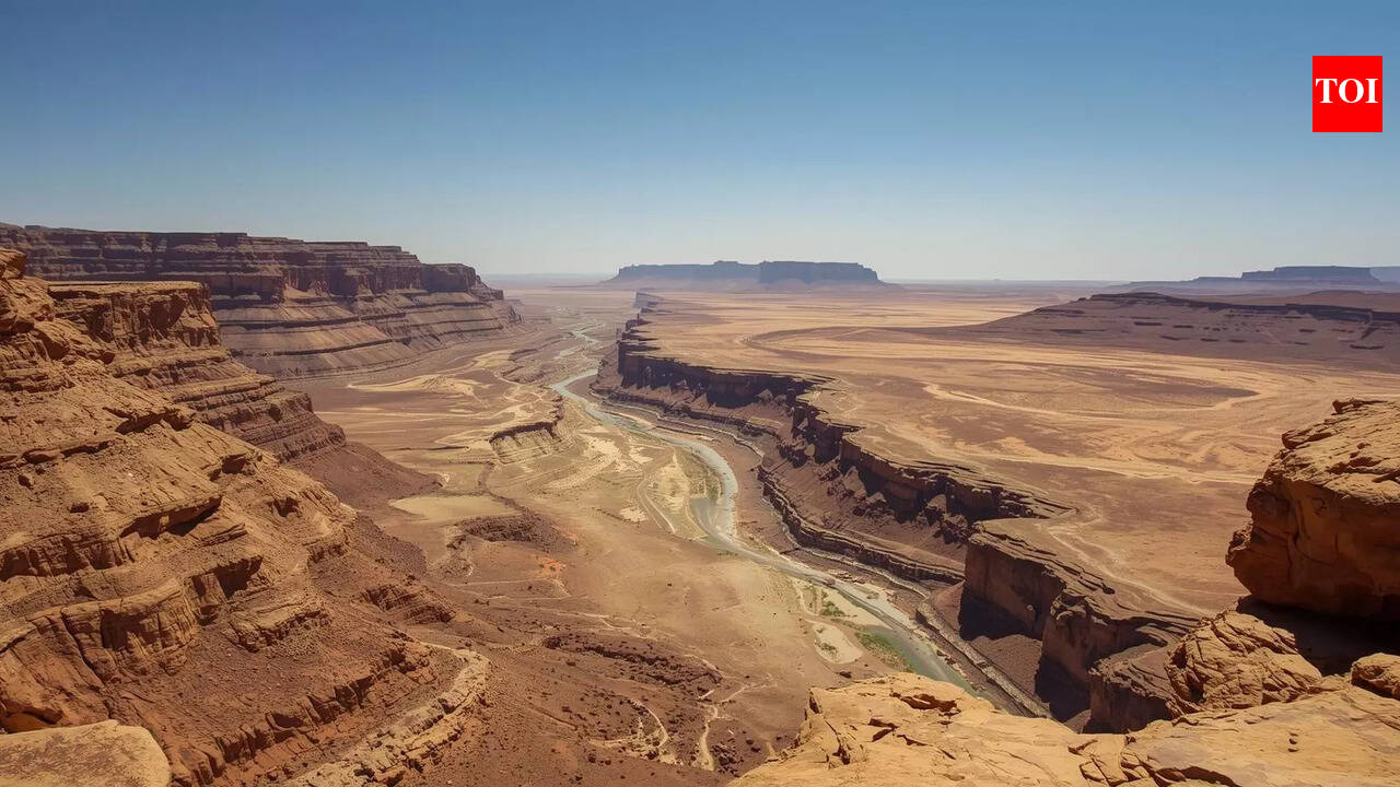 Mysterious Ancient life found in tunnels of Africa and Arabia leave  scientists searching for answers | World News - The Times of India