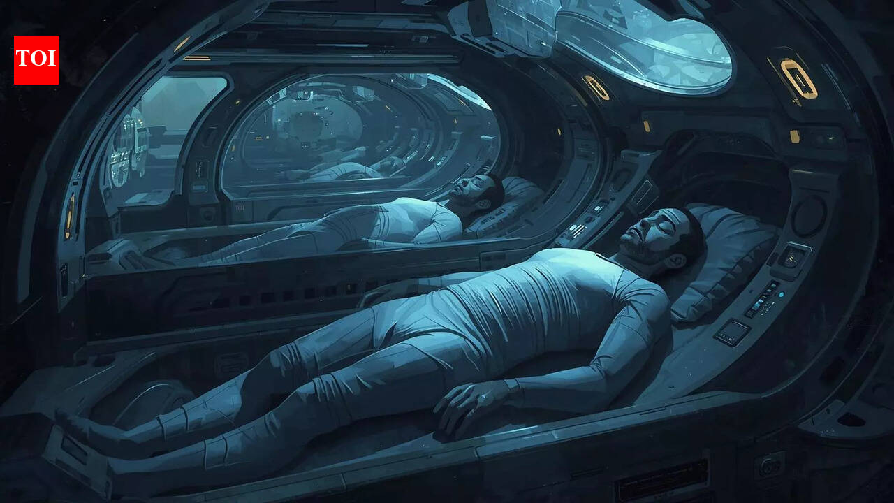 क्या मनुष्य एक दिन भालू की तरह शीतनिद्रा में चले जायेंगे? वैज्ञानिक अब इसे गंभीरता से ले रहे हैं |