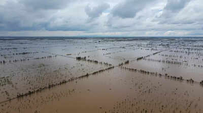 the-return-of-paashi-as-tulare-lake-floods-california-farmland-again-after-130-years.jpg