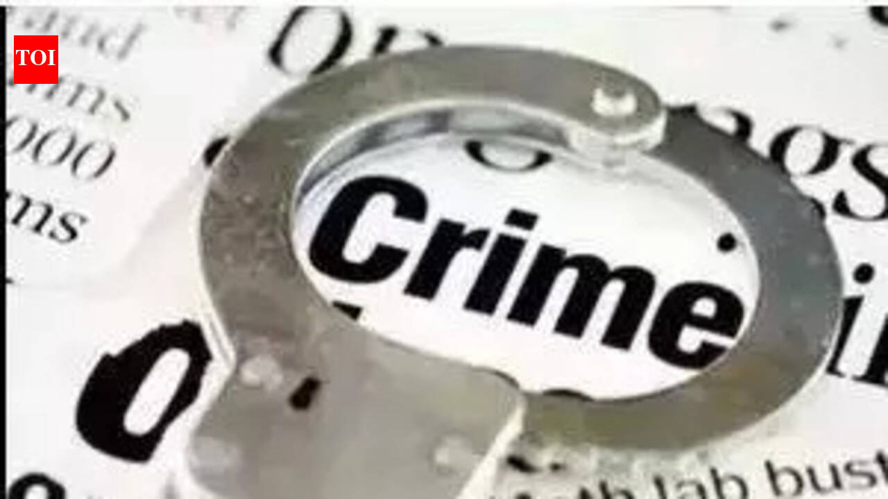 5 held over murder of history-sheeter | Chennai News - The Times of India