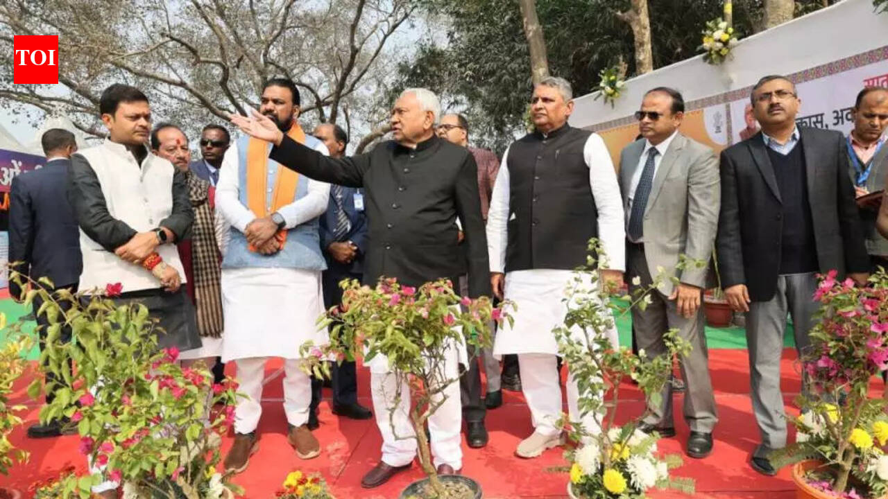 Roads, power key to building modern Bihar: Nitish