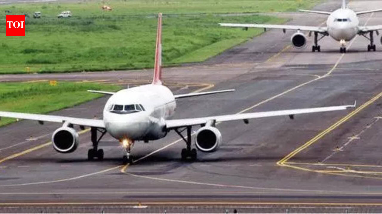 Aviation body to investigate risk of bird strikes within 3 km of Navi Mumbai International Airport
