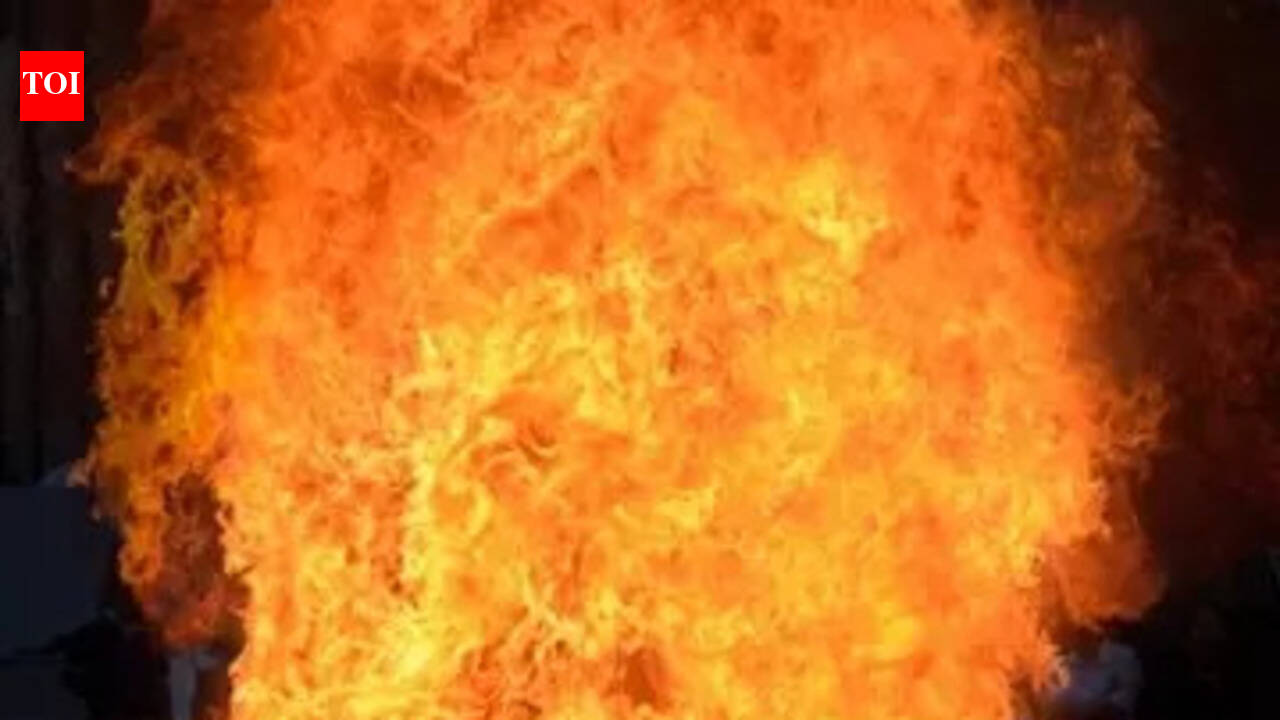 Two siblings burnt alive in Masaurhi fire | Patna News - The Times of India
