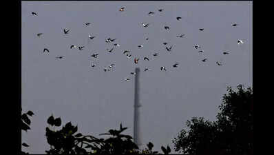 Delhi breathes easier as AQI hits 102-day low after rain, winds