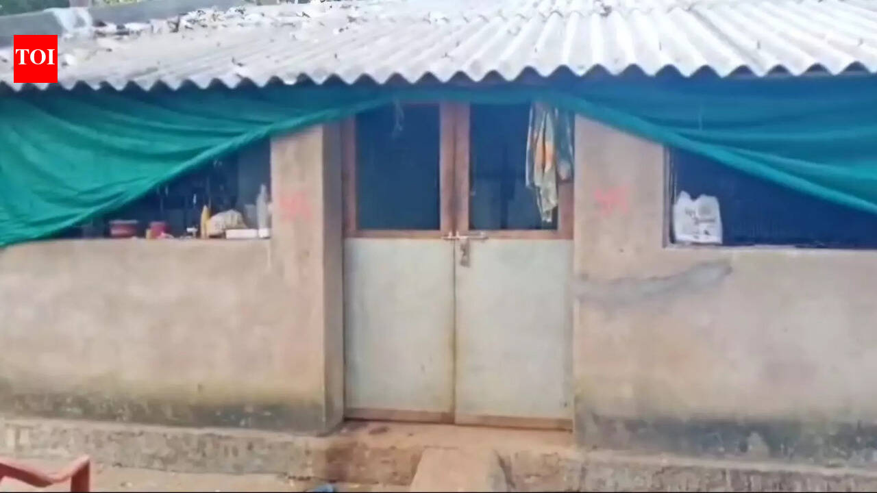 Man kills leopard after animal enters home, attacks him