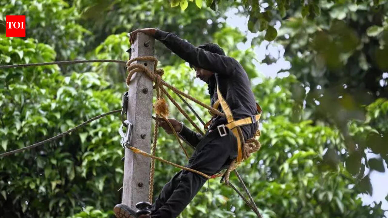 Intensive repairs help restore power supply in Mohali