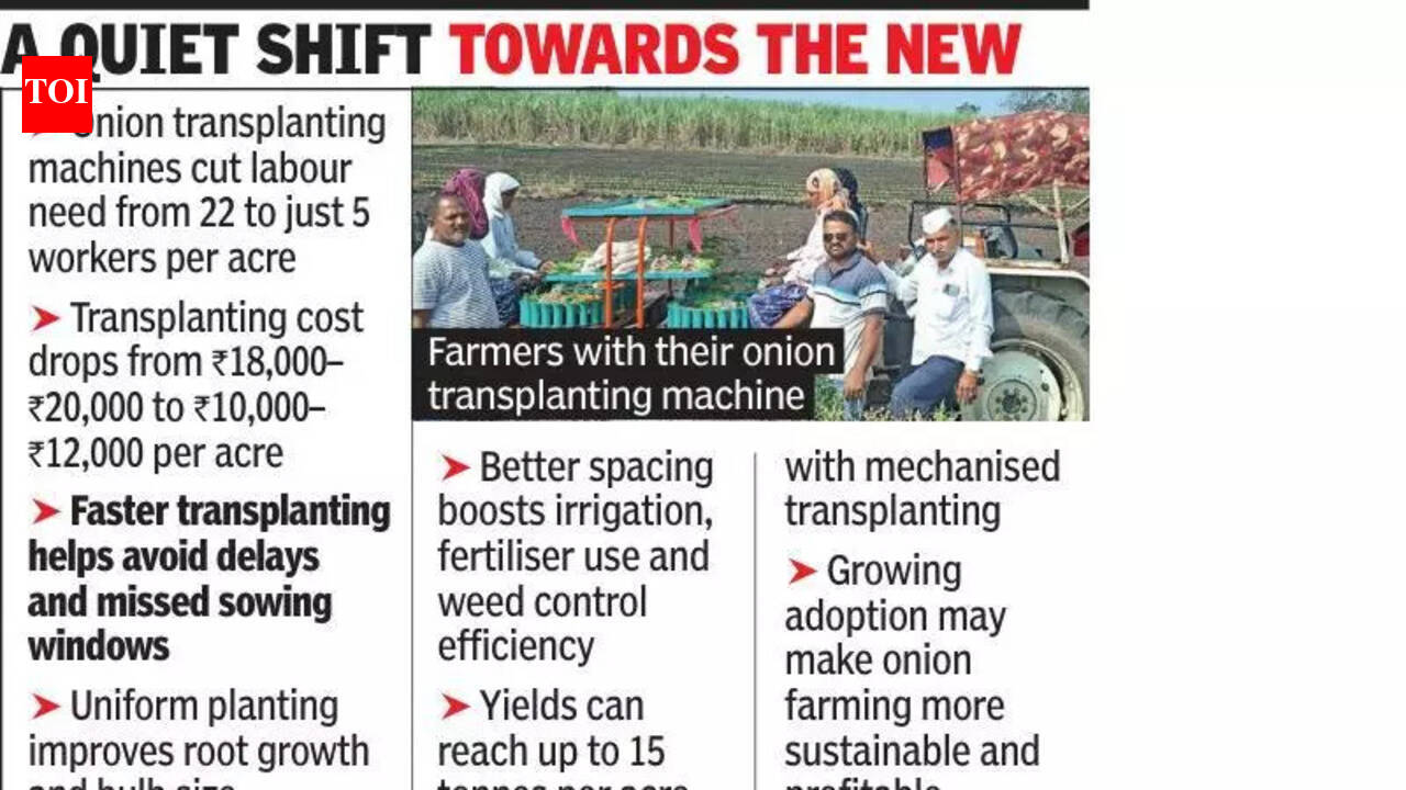 Farmers choose onion transplanting machine over manual work, get promising returns