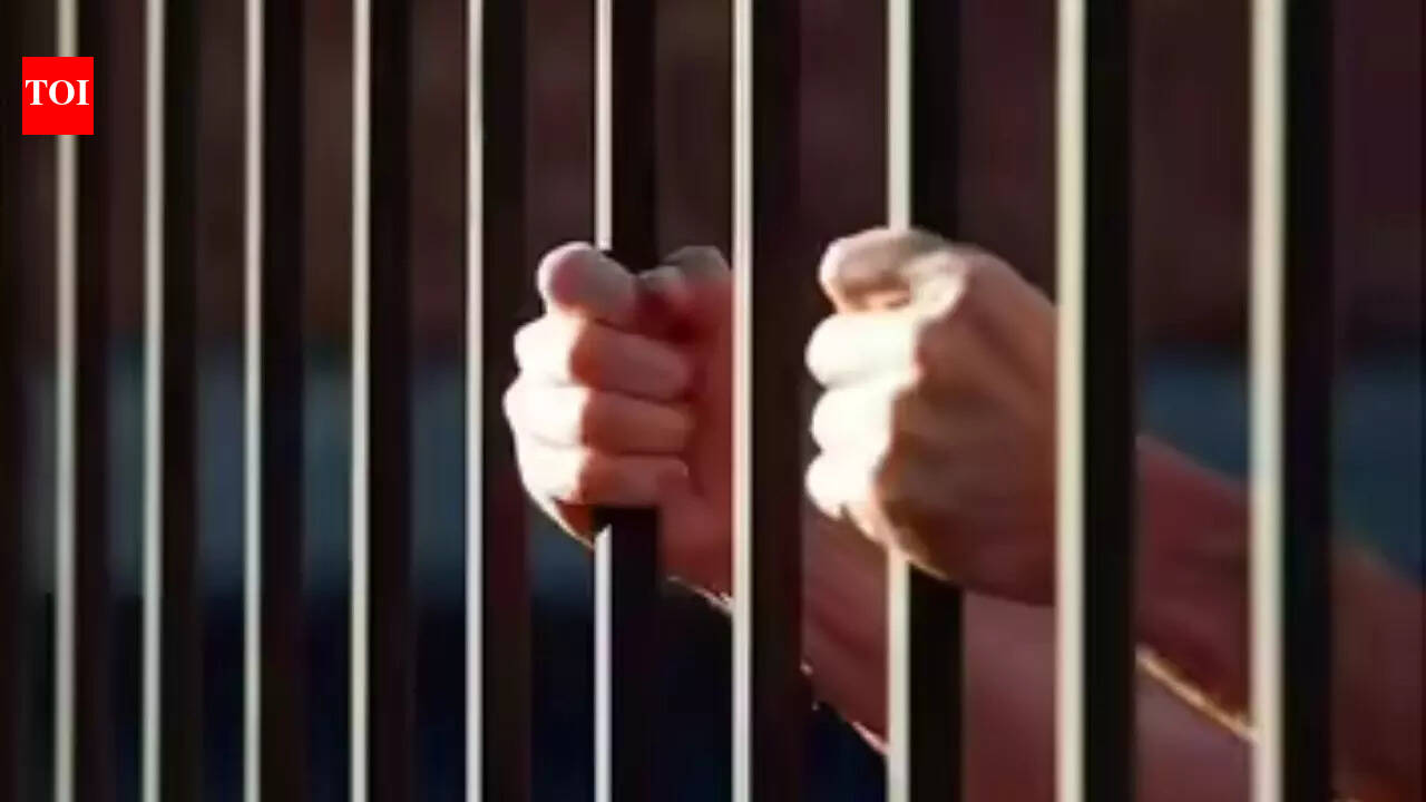 Virginia Democrats face pushback over bill allowing less prison time for rapists, manslaughter convicts