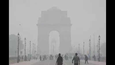 Delhi weather forecast: Sunny skies, mild temperatures; lingering air quality concerns