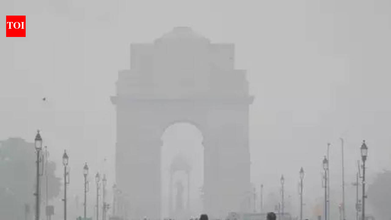 Delhi weather forecast: Sunny skies, mild temperatures; lingering air quality concerns