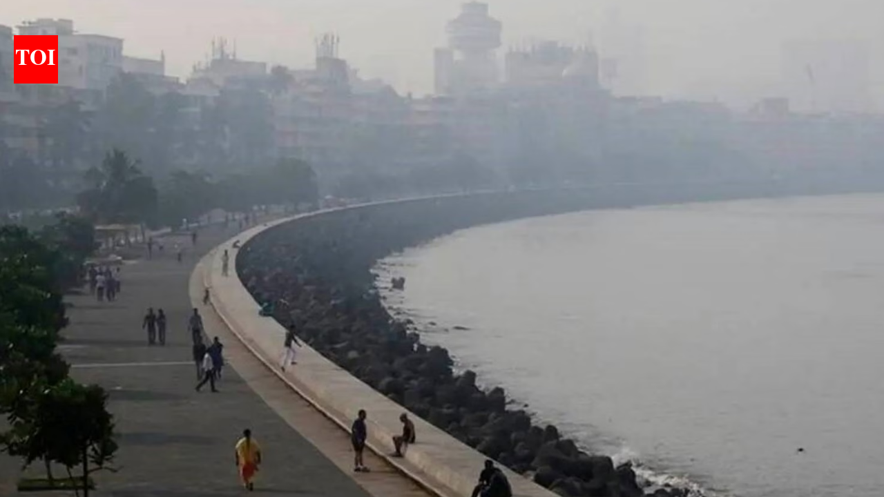 Mumbai weather forecast: Sunny skies, mild temperatures; air quality update