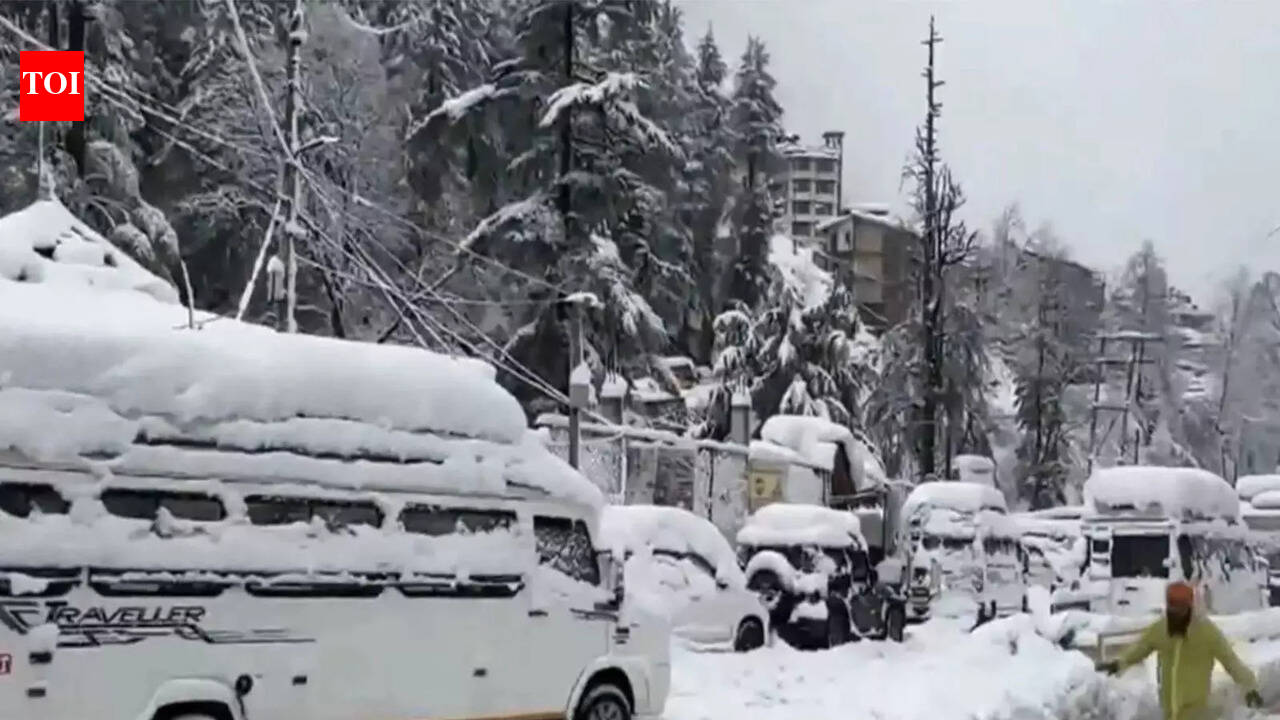 Cold wave persists following heavy rain, snow in Himachal after long dry spell