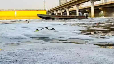 Man drowns during idol immersion in Yamuna river in east Delhi