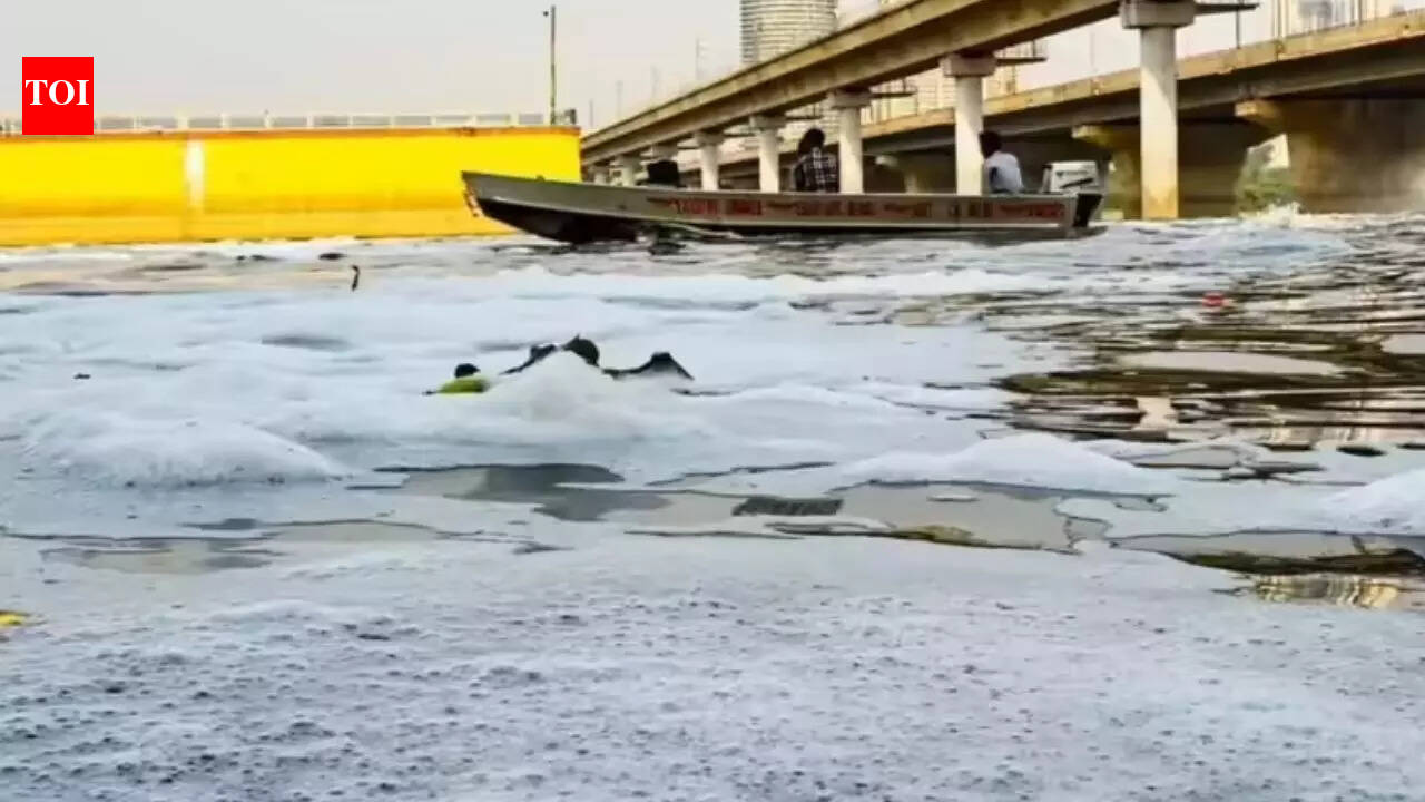 Man drowns during idol immersion in Yamuna river in east Delhi