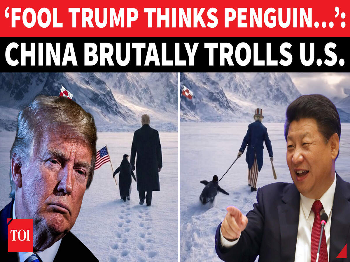 China Mocks Trump’s Greenland Push With Penguin Meme, Turning Diplomacy  Into Digital Warfare