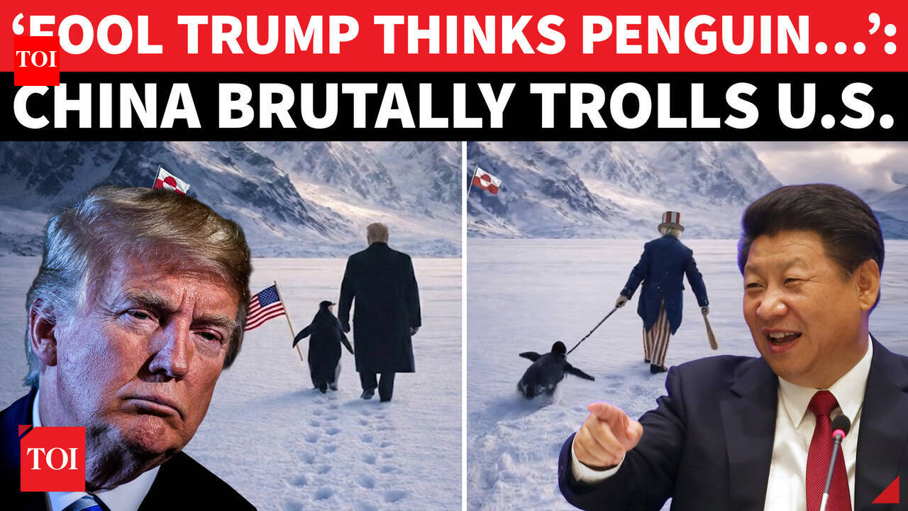 China Mocks Trump’s Greenland Push With Penguin Meme, Turning Diplomacy  Into Digital Warfare