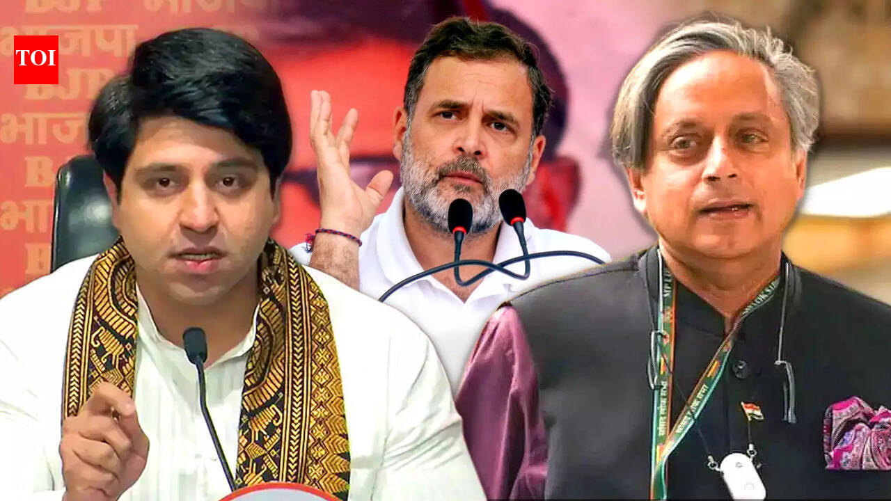 Cong Leaders Hit Back At Shakeel Ahmad Over Rahul Remarks, BJP Says ‘Start Of Massive Revolt’