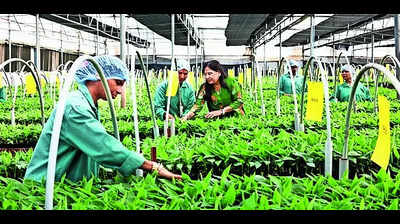Empowering women and farmers through biotechnology expertise
