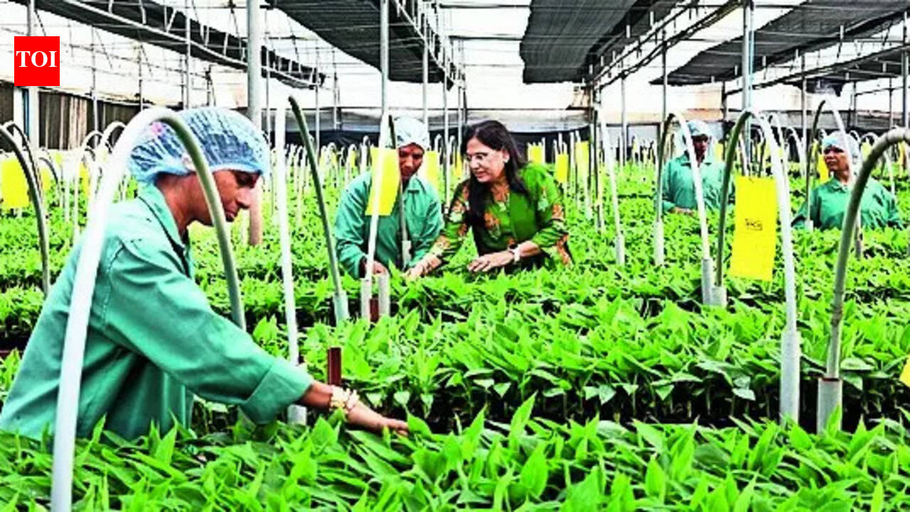 Empowering women and farmers through biotechnology expertise