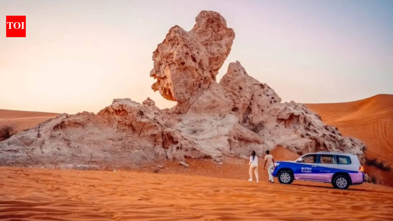 Weekend desert trip? Sharjah cracks down on Mleiha National Park without permit, issues hefty fines