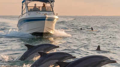 Dolphins just 2.5 hours from Dubai? Oman's ‘Norway of Arabia’, Khasab, steals UAE's weekend getaway crown