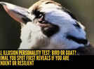 Optical illusion personality test: Bird or goat? The animal you spot first reveals if you are independent or resilient