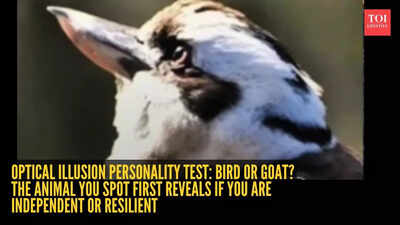Optical illusion personality test: Bird or goat? The animal you spot first reveals if you are independent or resilient