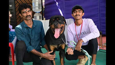 Paws and poise: Dogs steal the show in Mangaluru