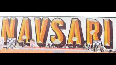 ‘Navsari’ blooms into Guinness record with flower show