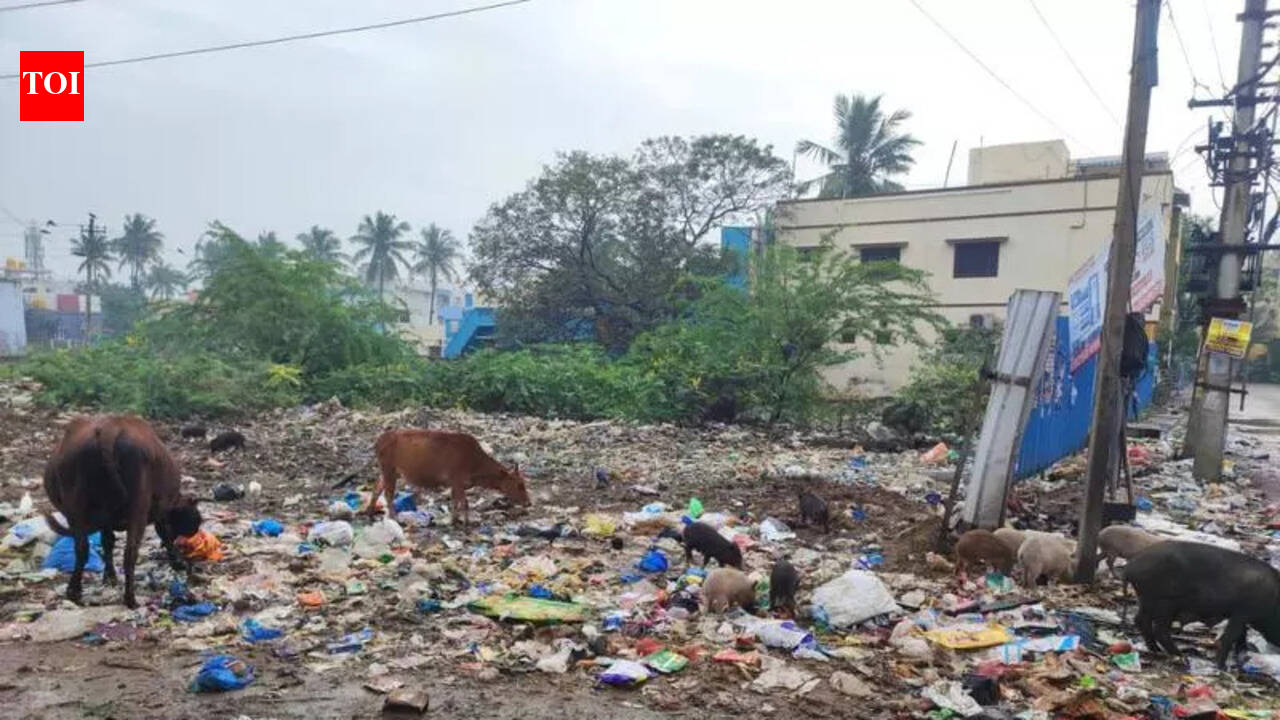 Indefinite hunger strike to press for dumpyard's removal
