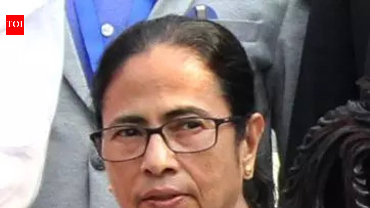 On National Voters’ Day, Mamata Banerjee targets Election Commission over roll verification drive