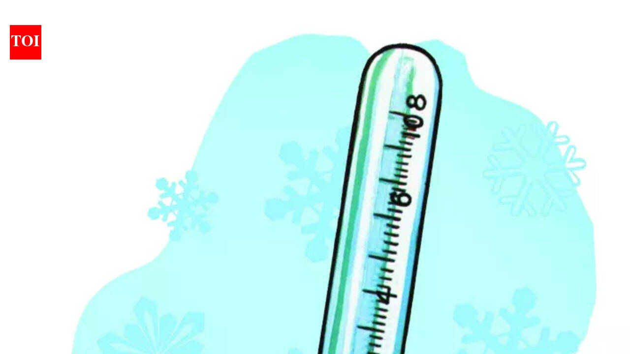 IMD records slightly above-normal day temperatures