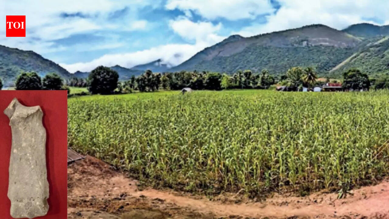 Rhinos in Tamil Nadu? Archaeologists find 3,500-year-old bone fragments near Coimbatore