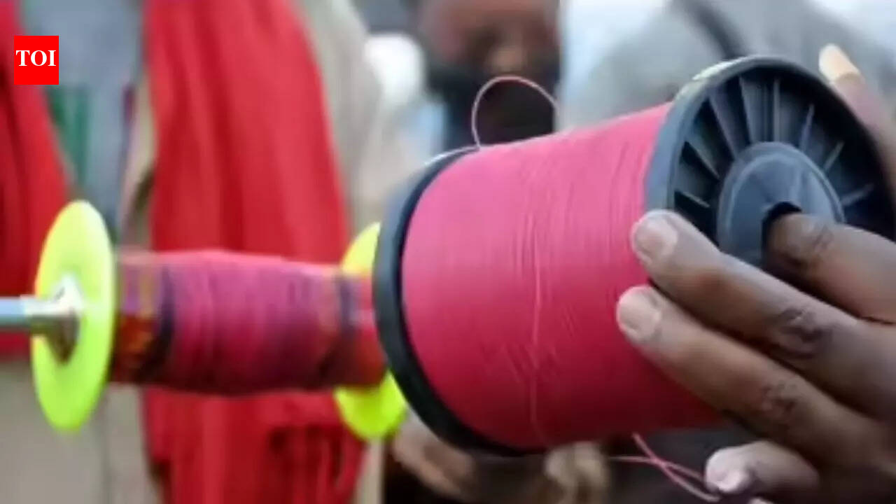 Chinese manjha kills schoolboy, woman in 24 hours in Ludhiana