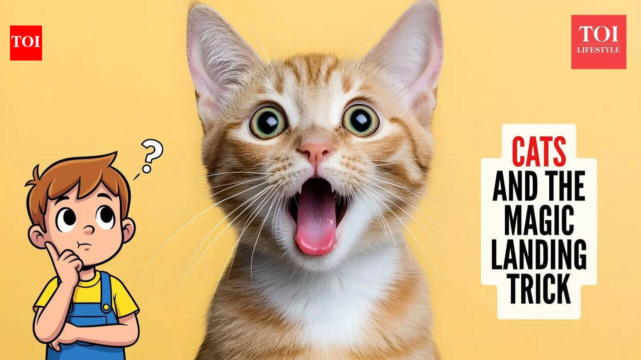 Curiosity Corner: Why do cats always land on their feet?