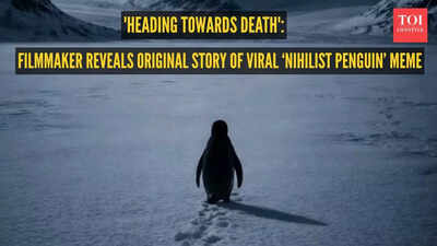  Filmmaker reveals the origin of the viral ‘Nihilist Penguin’ meme