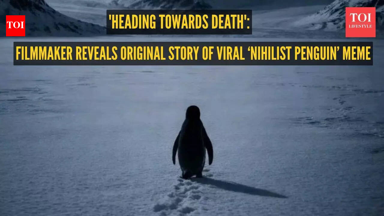 'Heading towards death': Filmmaker reveals the origin of the viral ‘Nihilist Penguin’ meme
